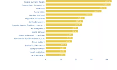 Quelles sont les formes de flexibilité au travail déjà utilisées dans les entreprises ? 