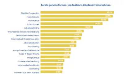 genutze Formen von flexiblem Arbeiten im Unternehmen 2024
